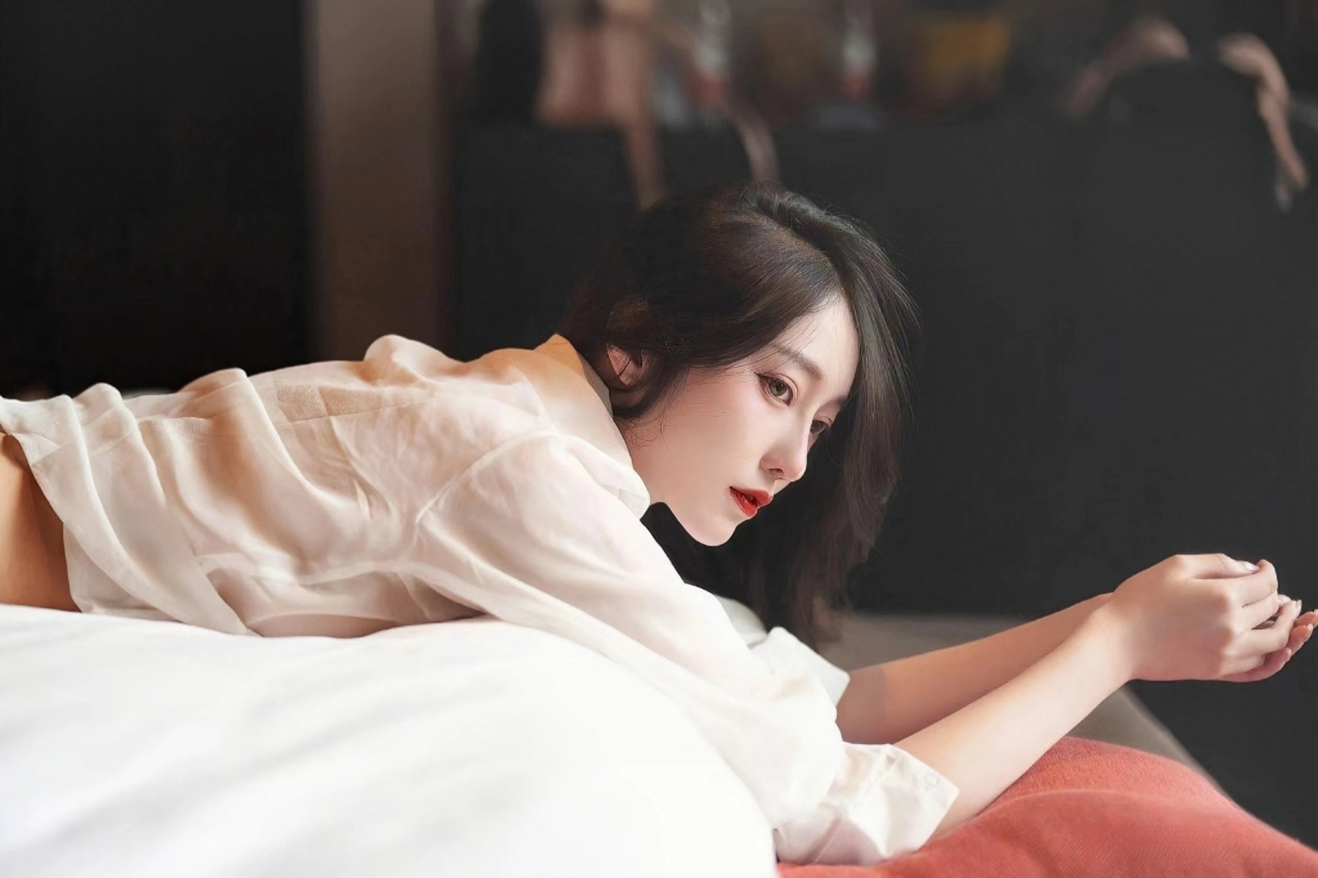 拓展合作新机遇 第八届进博会招商路演走进河北